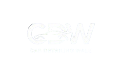 Car detailing logo